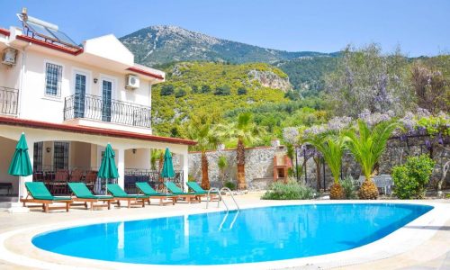 Fethiye Villa Paradise up to 15 Person