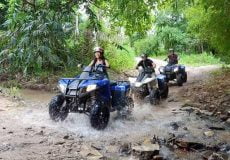 Antalya Quad Safari