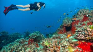 Scuba Diving in Antalya