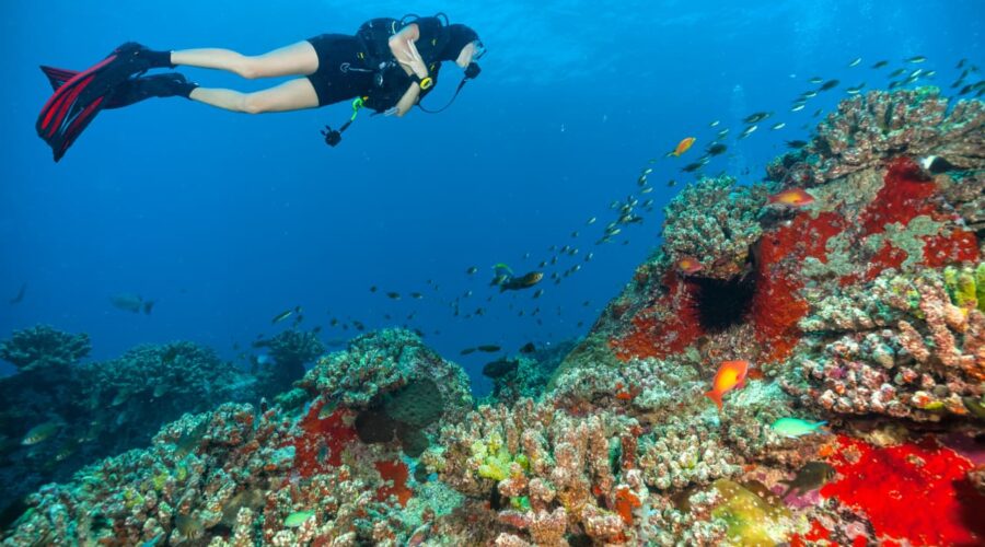 Scuba Diving in Antalya