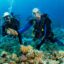 Scuba Diving Antalya With Transfer