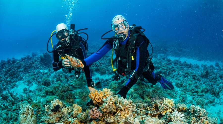 Scuba Diving Antalya With Transfer