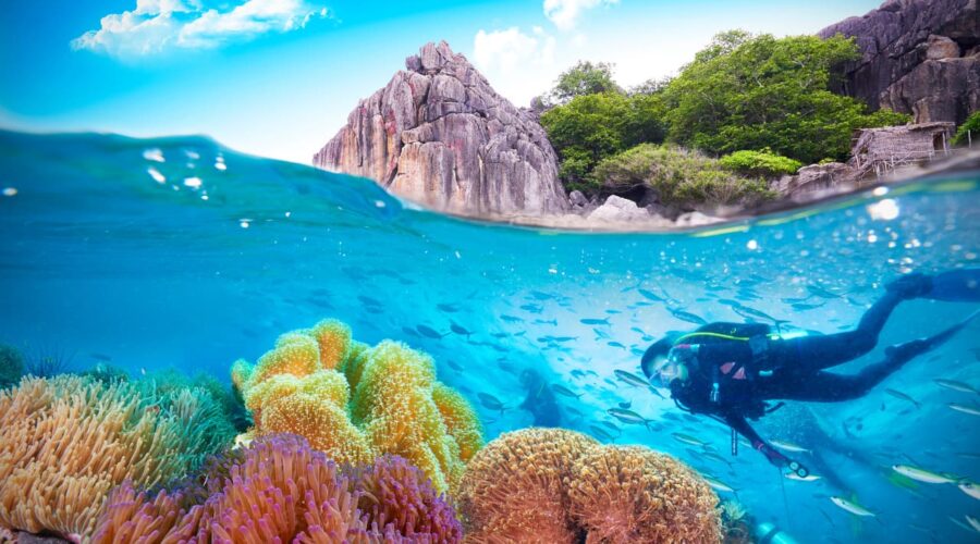 Antalya Scuba Diving With Transfer