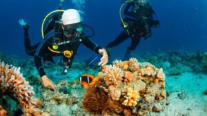 Scuba Diving Antalya With Transfer