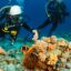 Scuba Diving Antalya With Transfer