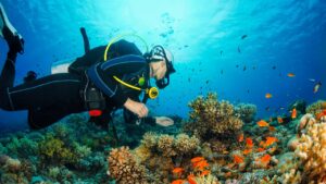 Scuba Diving Antalya With Transfer