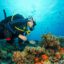 Scuba Diving Antalya With Transfer