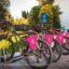 akra v hotel bicycle for rent